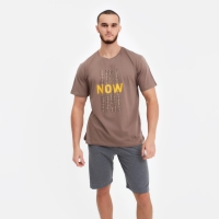 Футболка мужская с принтом, цвет светло-коричневый, размер 46