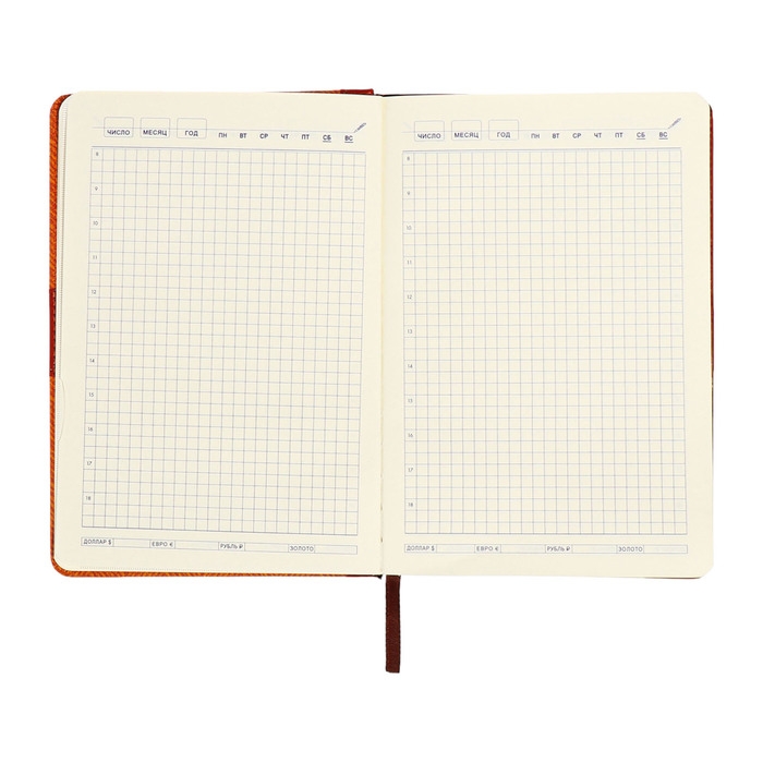 Органайзер на кольцах, А5, 128л, клетка, обл.кожзам, с хлястиком, Узоры, коричневый