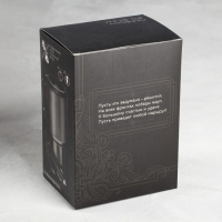 Термокружка, 450 мл, Автомобильная &laquo;Настоящий мужчина&raquo;, сохраняет тепло 3 ч, с подогревом от прикуривателя