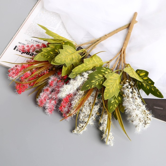 Букет Букет "Пушица акация" 30 см, микс