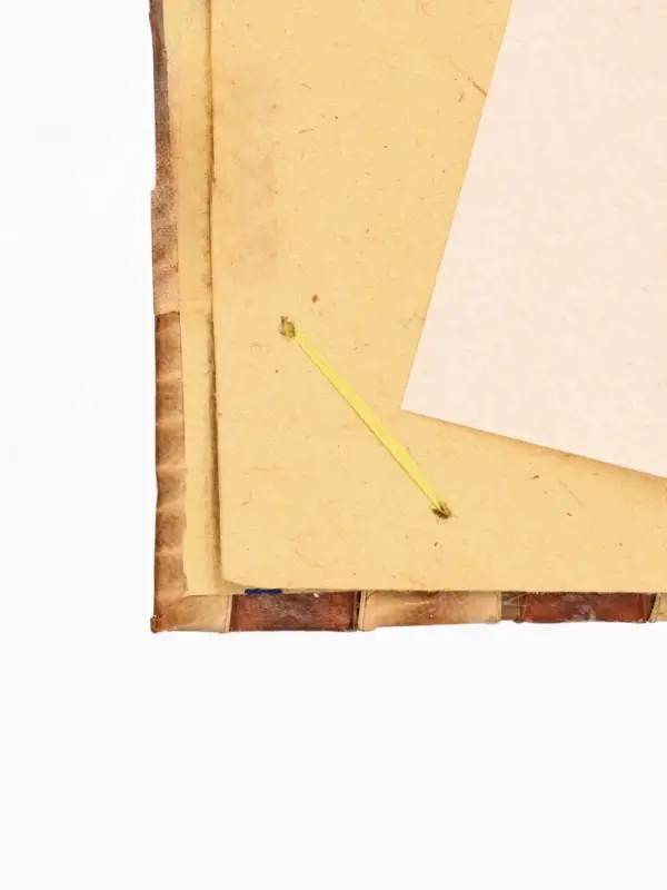 Фотоальбом "Экзотическая рыбка" 10 листов, 19х19х2 см