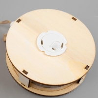 Ёлочная игрушка &laquo;Шар с веткой&raquo;, от батареек, свечение тёплое белое