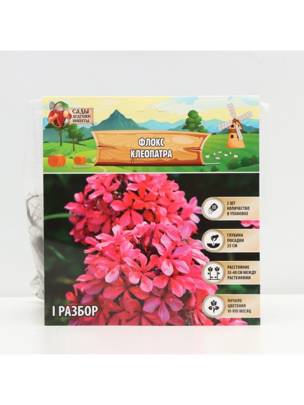 Флокс &laquo;Клеопатра&raquo; корневище в пакете с торфогрунтом, р-р I, 2 шт.
