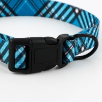 Ошейник &laquo;Джентльмен&raquo;, застёжка - фастекс, 2.5 см, 40-55 см