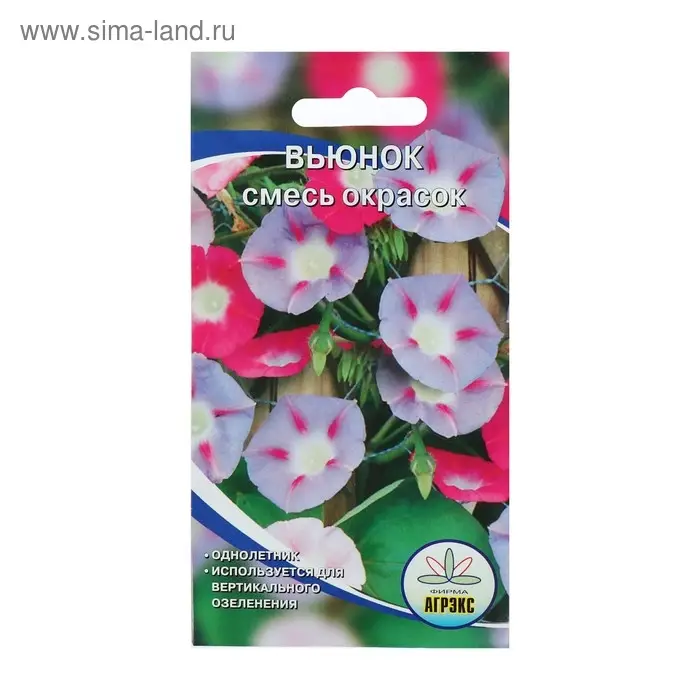 Семена цветов Вьюнок смесь, О, 10 шт