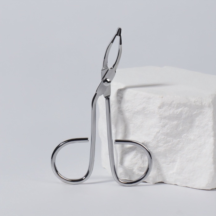 Пинцет в форме ножниц, изогнутый, 8 см, цвет серебристый Пинцет в форме ножниц, изогнутый, 8 см, цвет серебристый