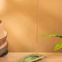 Подставка под благовония "Черепашонок на листе" керамика, цв. МИКС, 15х6х2 см