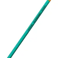 Набор карандашей чернографитных 12 штук, Calligrata Classic, с ластиком, заточенные, пластик, трехгранные, зеленые