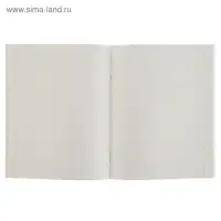 Тетрадь 48 листов в клетку Calligrata &laquo;Россия&raquo;, серые листы, МИКС