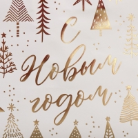 Пакет подарочный новогодний крафтовый &laquo;Новогодняя пора&raquo;, 22 х 25 х 12 см, Новый год