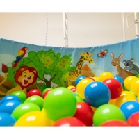 Сухой бассейн &laquo;Сафари&raquo;, без шариков