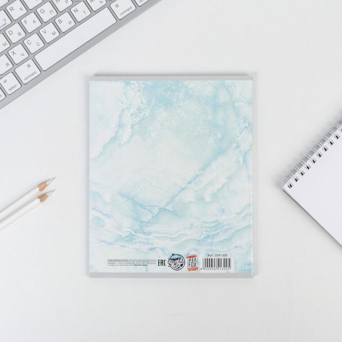 Тетрадь предметная 48 листов, А5, МРАМОР, со справ. мат. &laquo;1 сентября: Химия&raquo;, обложка мелованный картон 230 гр внутренний блок в клетку белизна 96%