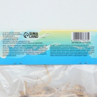 Лилия Азиатская &laquo;Навона&raquo;, луковица в пакете с перфорацией, р-р 12/14, 3 шт.