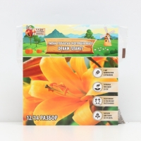 Лилии Трубчатые смотрящие вверх Orange Planet, луковица в пакете с перфорацией, р-р 12/14, 2 шт.