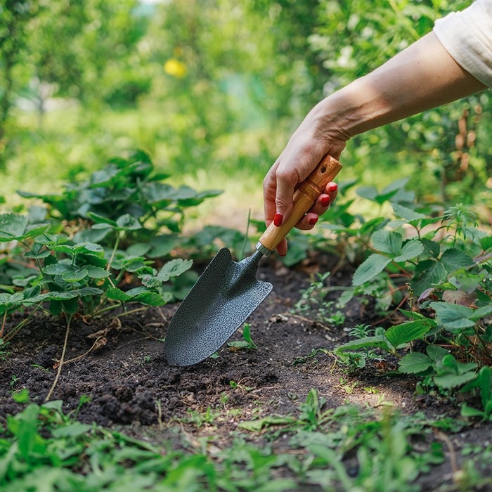 Совок посадочный, длина 30 см, ширина 8.5 см, резная ручка, Greengo