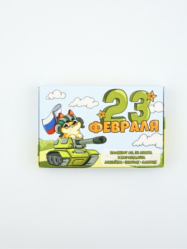 Подарочный набор 6 предметов "С 23 февраля! Кот"