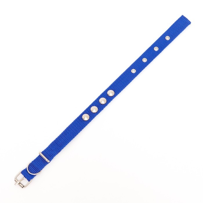 Ошейник клёпаный, 40,5 х 2 см, ОШ 26-34 см, полиэстер, синий Ошейник клёпаный, 40,5 х 2 см, ОШ 26-34 см, полиэстер, синий