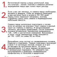 Семена Перец сладкий "Калифорнийское чудо", 0,2 г