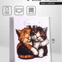 Пакет подарочный вертикальный &laquo;Обнимашки&raquo;, S 12&times;15&times;5.5 см