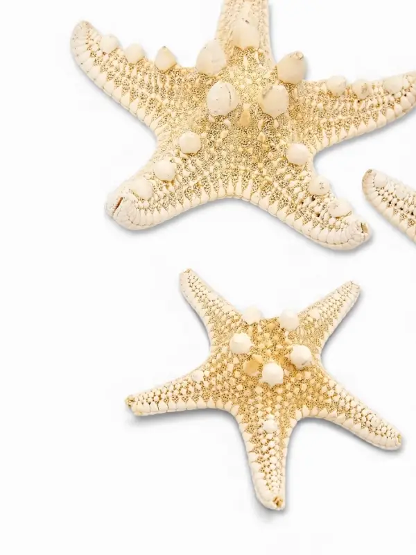 Набор из 3 морских звезд, размер 5-7 см, 7-10  см, 10-12 см, белые