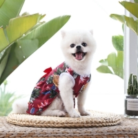 Платье для животных "Тропики&raquo;, XS (ДС 20, ОГ 30 см), красное