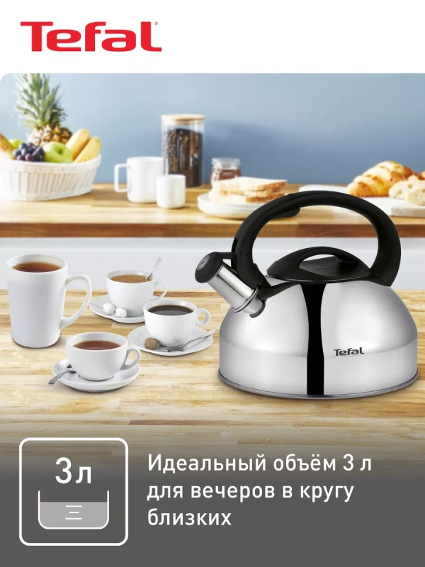 Чайник для плиты из нержавеющей стали C7922024, 3 л