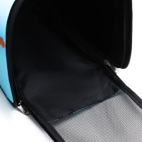 Сумка - переноска для животных "Путешественник", голубая, размер M, 40 х 21 х 27 см Сумка - переноска для животных "Путешественник", голубая, размер M, 40 х 21 х 27 см