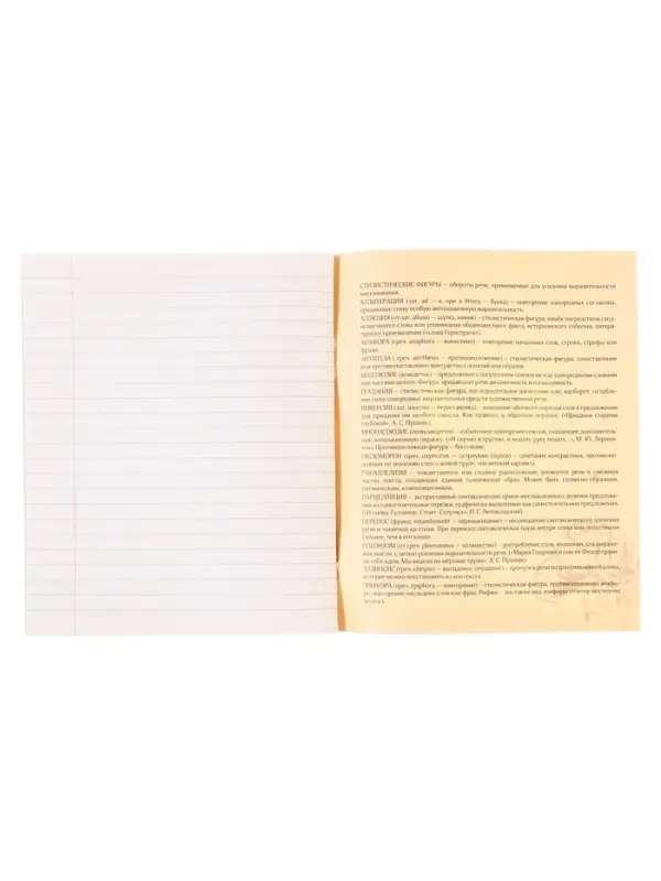 Тетрадь предметная 48 листов в линейку, Calligrata &laquo;Герб. Литература&raquo;, обложка мелованный картон