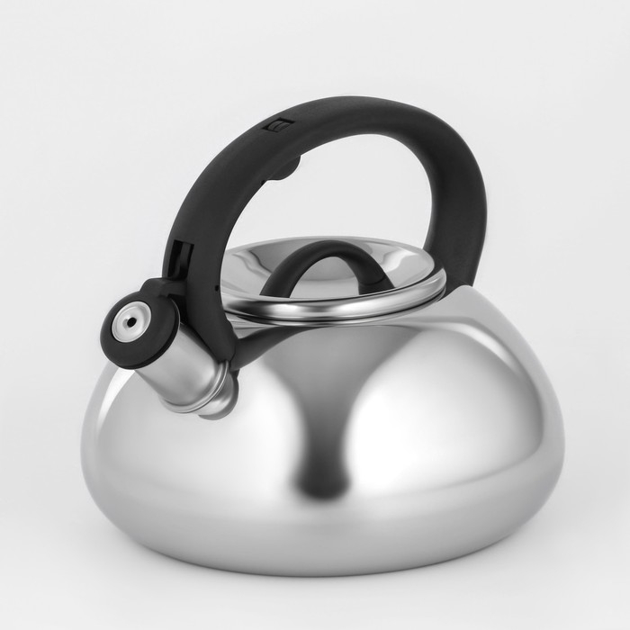 Чайник со свистком из нержавеющей стали Доляна &laquo;Квант&raquo;, 2,8 л, фиксированная ручка, цвет хромированный