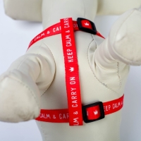 Комплект Keep calm & carry on, шлейка 36-49 см, поводок 120х1,5 см Комплект Keep calm & carry on, шлейка 36-49 см, поводок 120х1,5 см