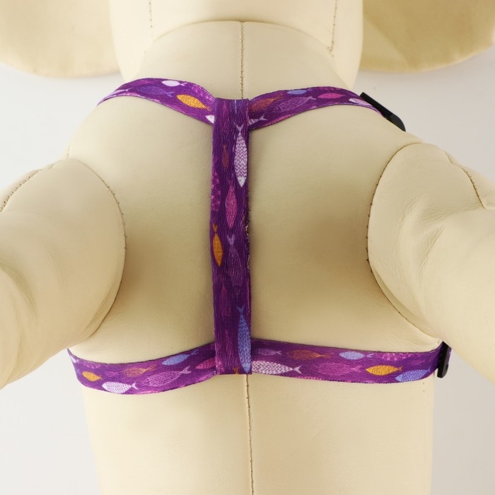 Комплект &laquo;Рыбки&raquo;, шлейка 24-36 см, поводок 120х1 см