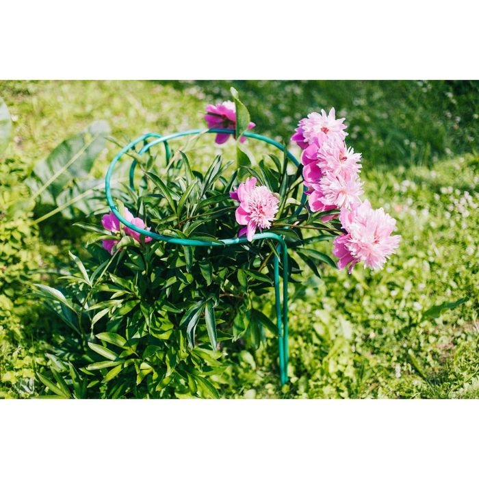 Кустодержатель, d = 40 см, h = 60 см, ножка d = 1 см, металл, набор 2 шт., зелёный Кустодержатель, d = 40 см, h = 60 см, ножка d = 1 см, металл, набор 2 шт., зелёный