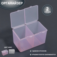Органайзер для хранения, с крышкой, 2 секции, 6,7 &times; 12,5 &times; 7,5 см, цвет МИКС