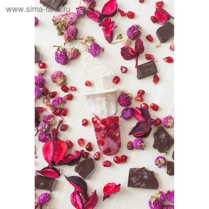 Форма для мороженого &laquo;Фламинго&raquo;, 12,5&times;11,5&times;14,5 см, 6 ячеек, цвет прозрачный