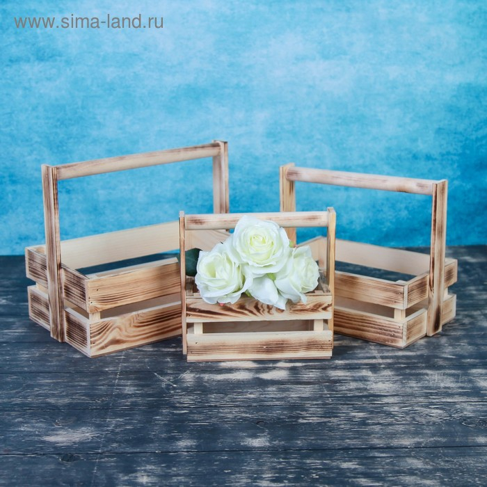 Набор кашпо деревянных подарочных Набор кашпо деревянных подарочных "Модерн", 3 в 1, с ручкой, экзотик