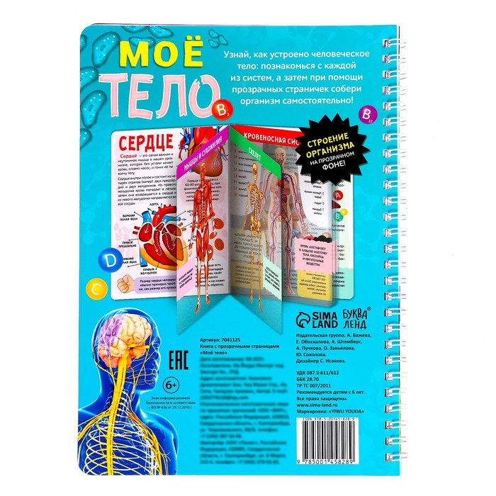 Книга с прозрачными страницами &laquo;Моё тело&raquo;, 32 стр.