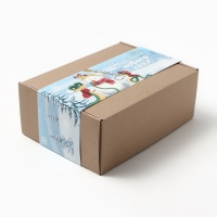 Набор подарочный "Весёлого Нового года" плед и акс