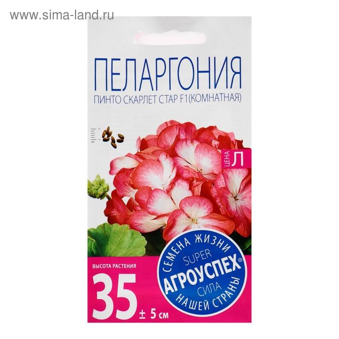 Семена цветов Пеларгония Семена цветов Пеларгония "Пинто Скарлет Стар", F1, 4 шт