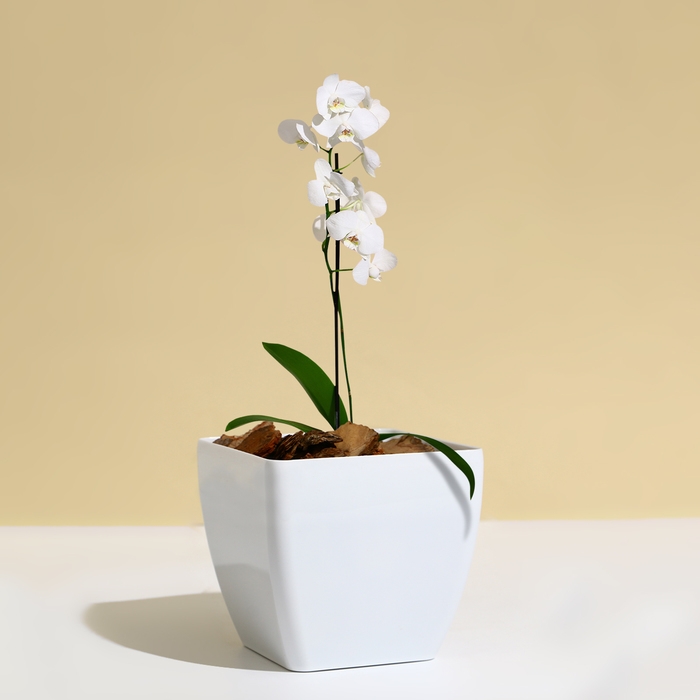 Горшок для цветов, 15 &times; 15 см, 2,5 л, пластик, белый