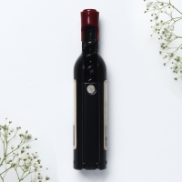 Магнит-открывашка &laquo;Санкт - Петербург&raquo;, 2,5 х 11,8 х 2,5 см