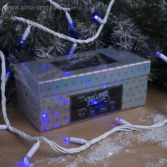 Гирлянда &laquo;Нить&raquo; 10 м, IP65, УМС, белая нить, 100 LED, свечение синее, 220 В