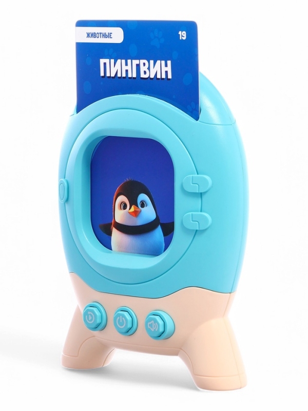 Обучающий набор с карточками, русская озвучка, 60 карточек