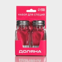 Набор для специй из стекла Доляна &laquo;Стандарт&raquo;, 2 предмета: солонка, перечница 100 мл