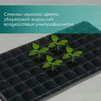 Кассета для рассады, на 72 ячейки, по 50 мл, из пластика, чёрная, 54&times;28&times;4 см, Greengo