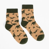 Носки детские &laquo;Динозавры&raquo;, цвет бежевый, размер 16-18