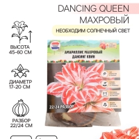 Амариллис Махровый Dancing Queen, многолетник, луковица, р-р 22/24, 1 шт.