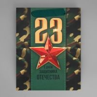 Пакет подарочный ламинированный вертикальный, упаковка, &laquo;С 23 февраля&raquo;, MS 18 х 23 х 10 см