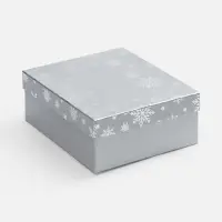 Коробка Wintry, серебристая
