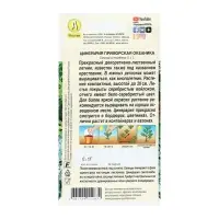 Семена Цветов Цинерария "Океаника", 0,05 г