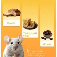 Мышеловка, 9.8&times;4.7 см, дерево, Greengo